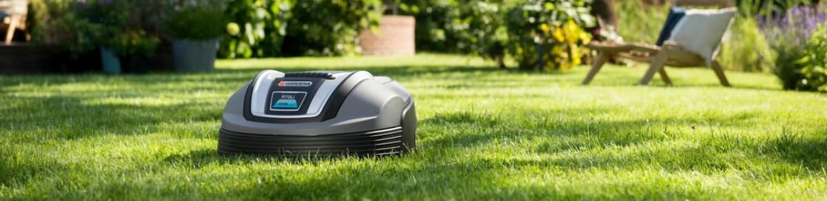 Rasen: Frisches Grün für Ihren Garten