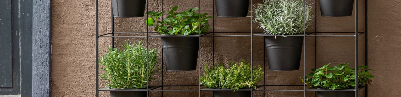 Vertikale Gärten: Mehr Grün auf kleinstem Raum