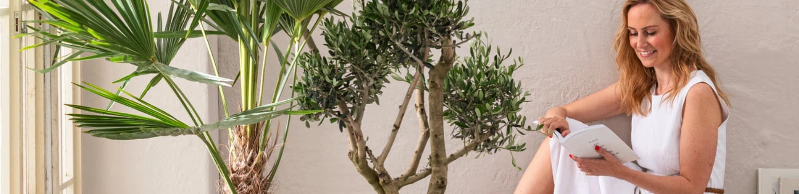 Top 10: Pflegeleichte Kübelpflanzen