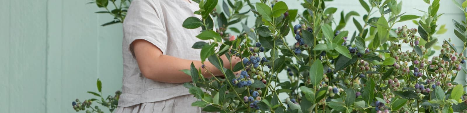 Heidelbeeren aus dem Garten