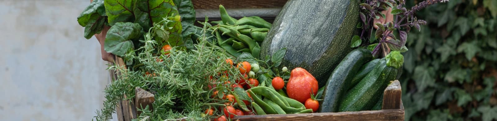 Purer Genuss: Gemüse aus dem eigenen Garten