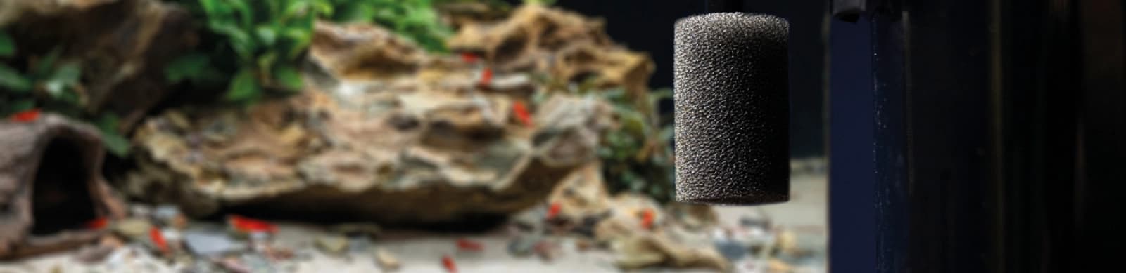 Die Technik im Aquarium ist das A und O