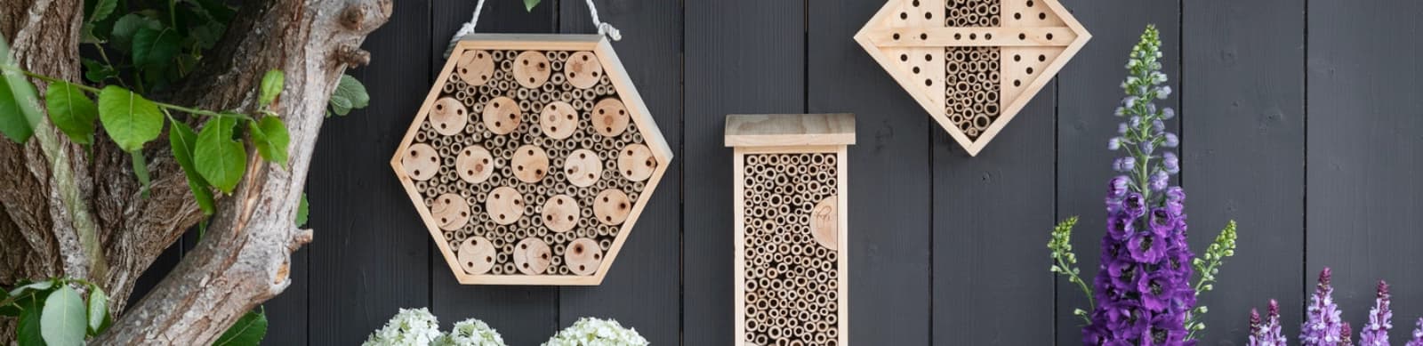 Insekten – die Kleinsten unterstützen