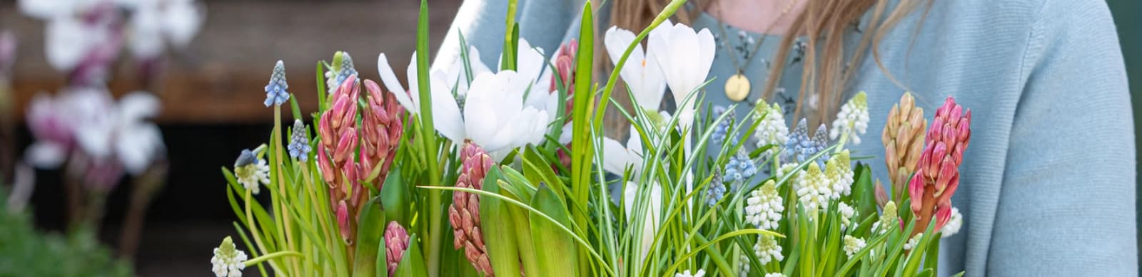 Gartenarbeiten im März