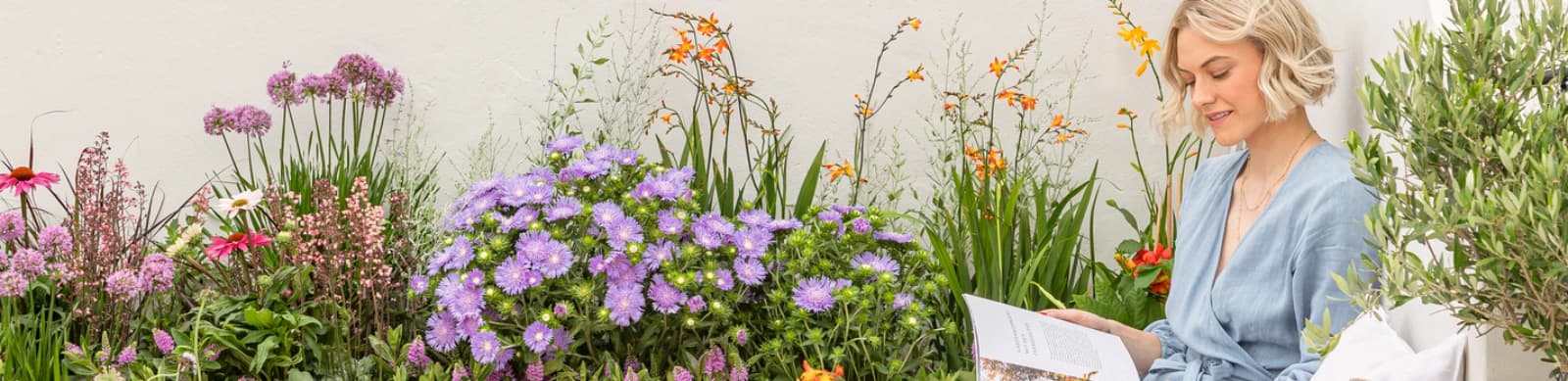 Willkommen im Sommergarten