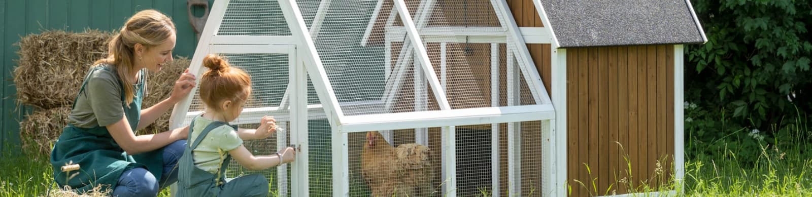 Hühner halten im Garten: So fühlen sich Hahn und Hennen wohl