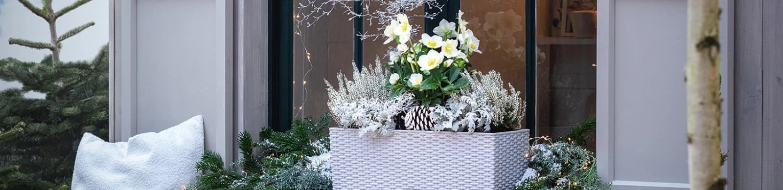 Garten im Winter