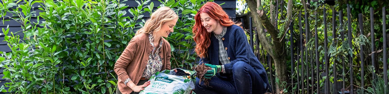 Gartenarbeiten im September