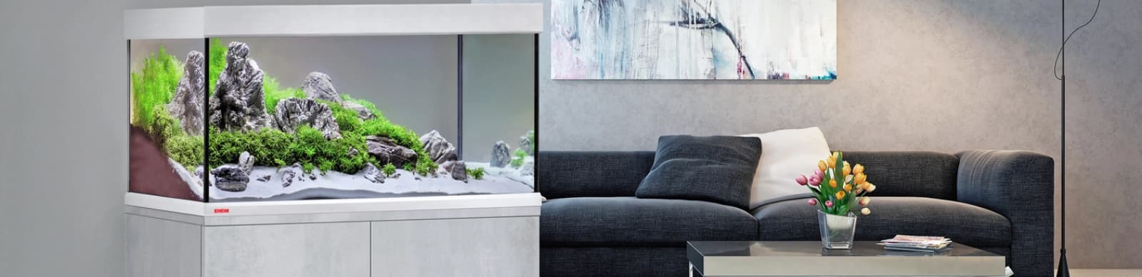 Das Aquarium, der kleine Ozean für Zuhause