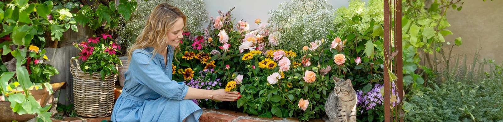 Vorgarten gestalten: Schön fürs Auge, gut fürs Herz