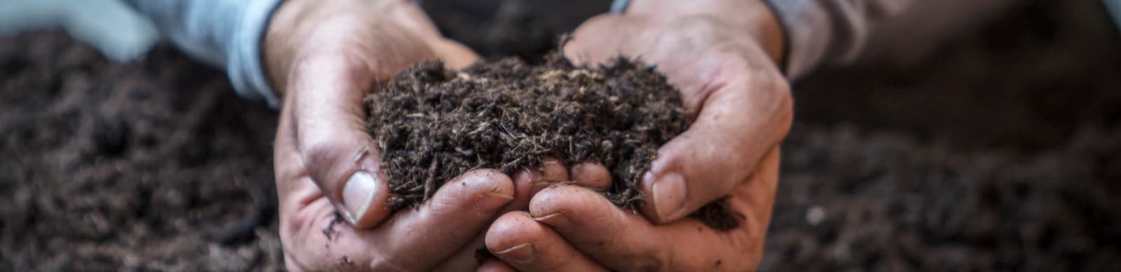 Erden & Substrate – Wissen im Überblick