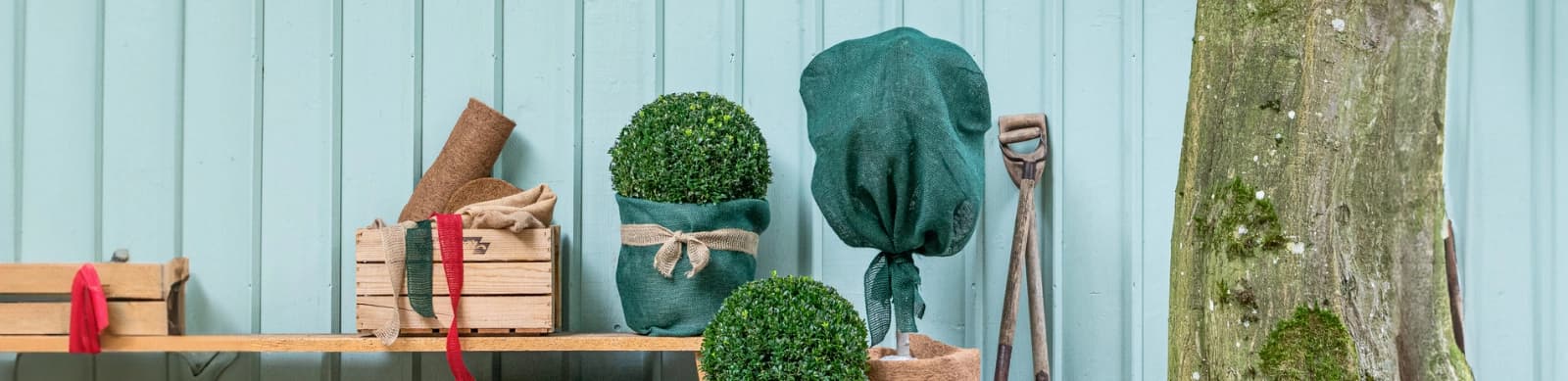 Gartenarbeiten im Januar