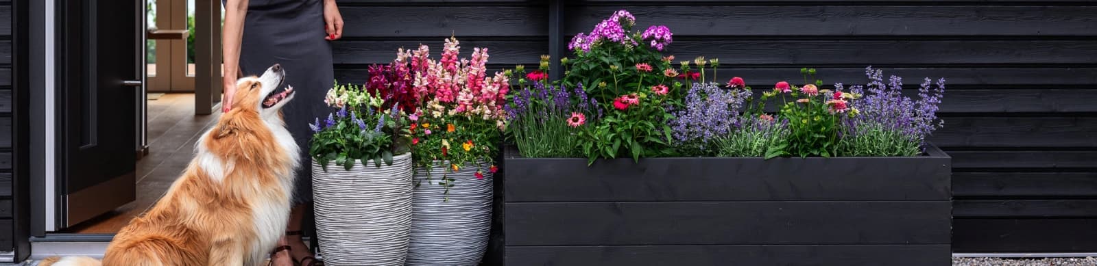 Bienenfreundlicher Garten – ein Zuhause für Summer