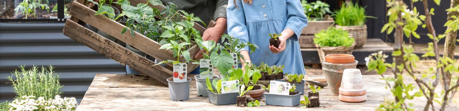 Mischkultur – Gemüse, Kräuter und Blumen im Beet kombinieren
