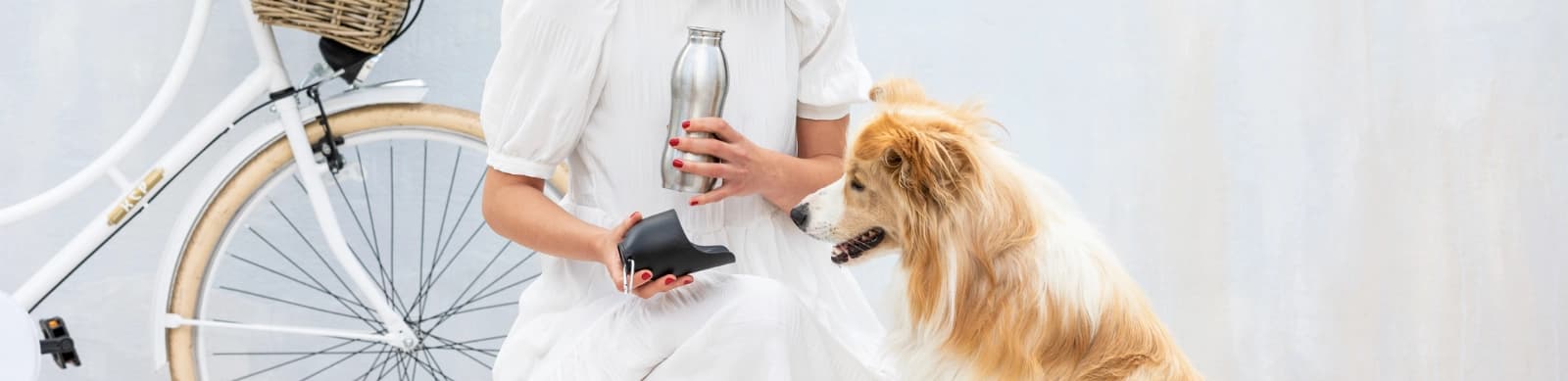 Hitzetipps für Haustiere