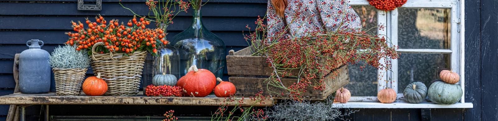 Bezaubernd schöner Herbstgarten