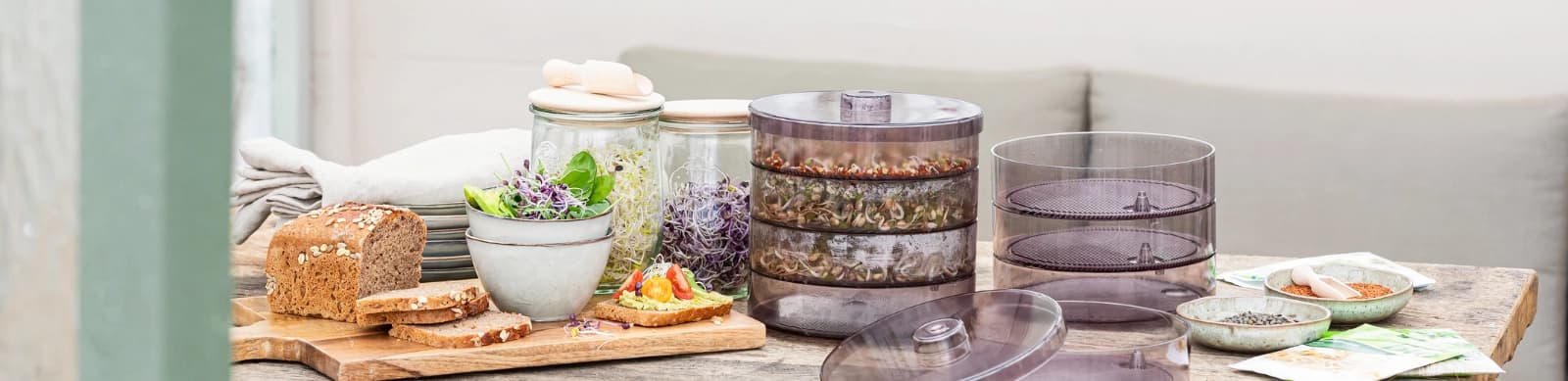Sprossen selber ziehen – frisch, gesund und voller Power