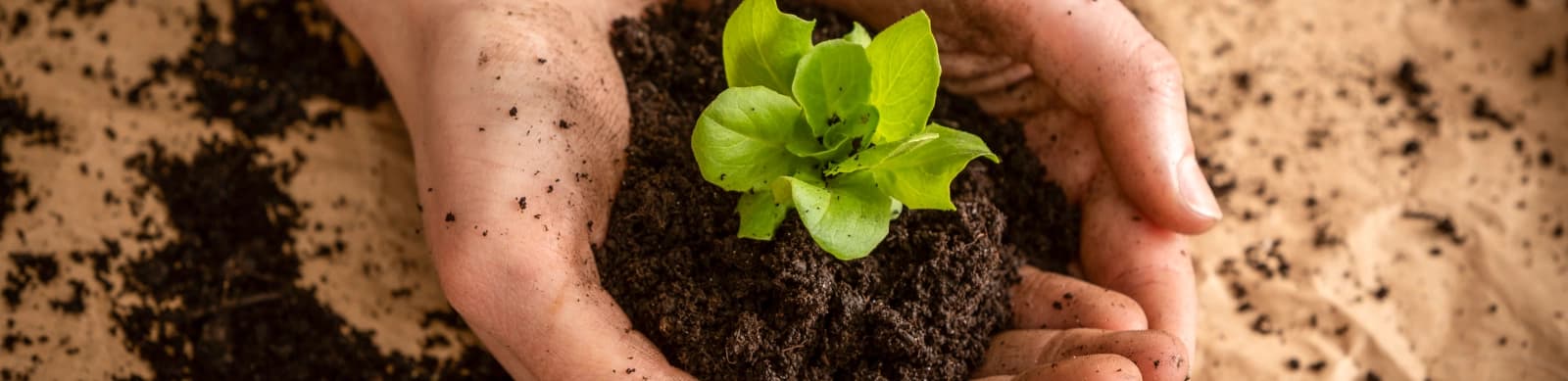 Gartenarbeiten im April