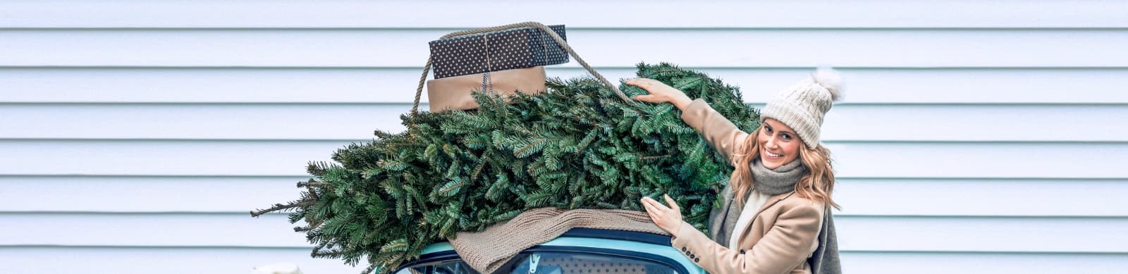 Weihnachtsbäume: So finden Sie den perfekten Baum