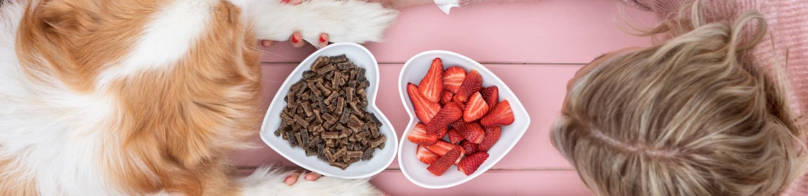 Hochwertiges Hundefutter – Weil Ihr Hund ist, was er frisst