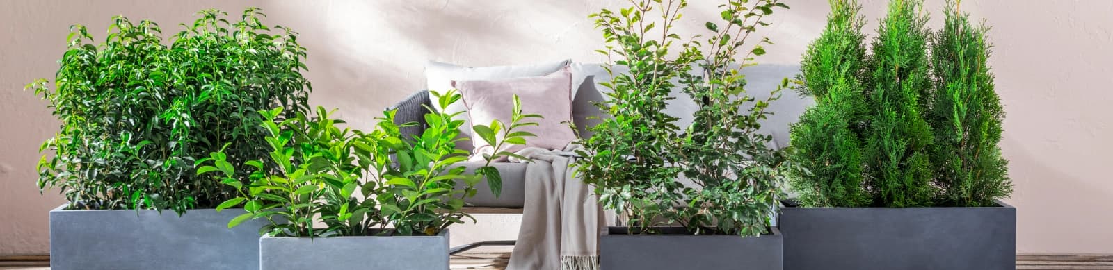 Privatsphäre genießen – Top 5 Sichtschutz-Ideen für Ihren Garten