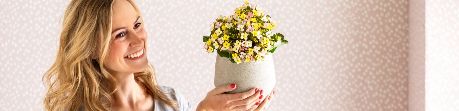 Kalanchoe: Pflegeleichte Blütenpracht für Ihr Zuhause