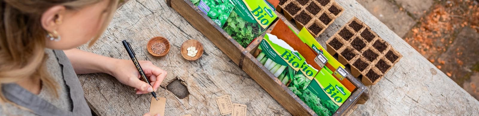 Aussaat & Anzucht – Vom Samenkorn zur fertigen Pflanze