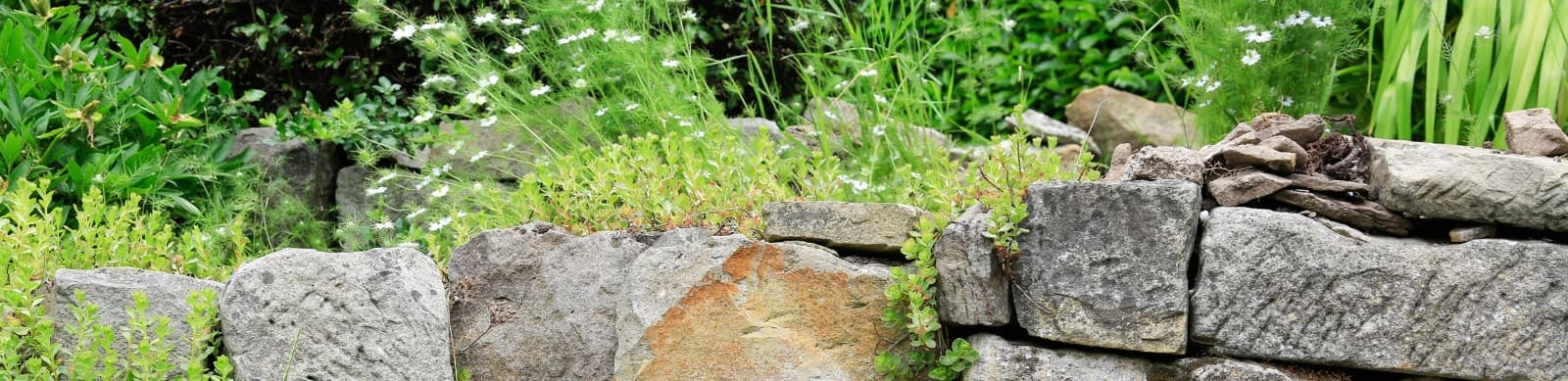 Trockenmauern – neue Akzente im Garten