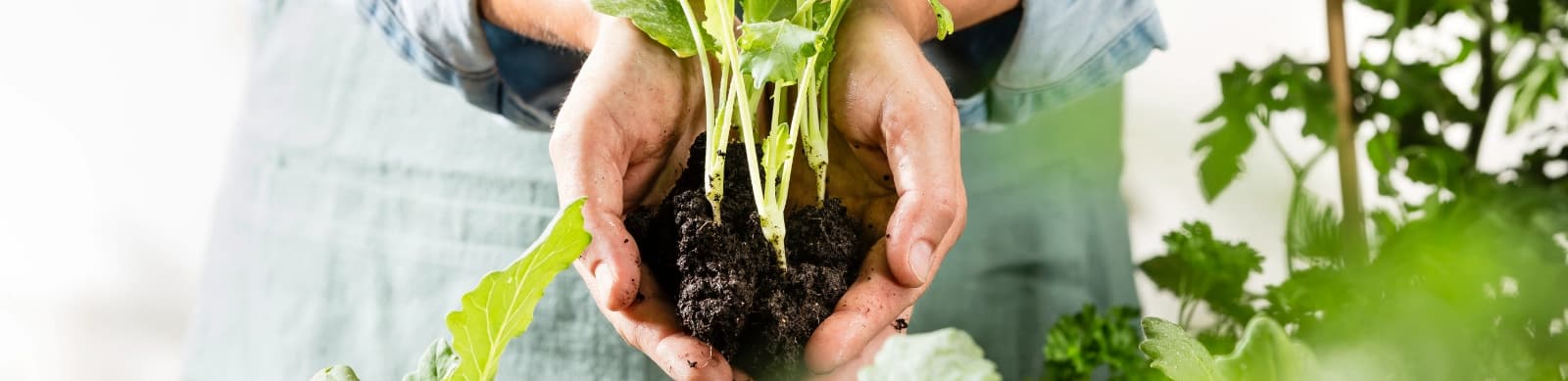 Biogarten – nachhaltig, gesund und voller Leidenschaft