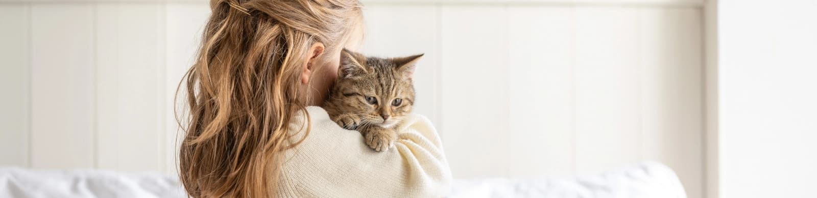 Kitten ziehen ein – Eingewöhnung, Erziehung & Co.