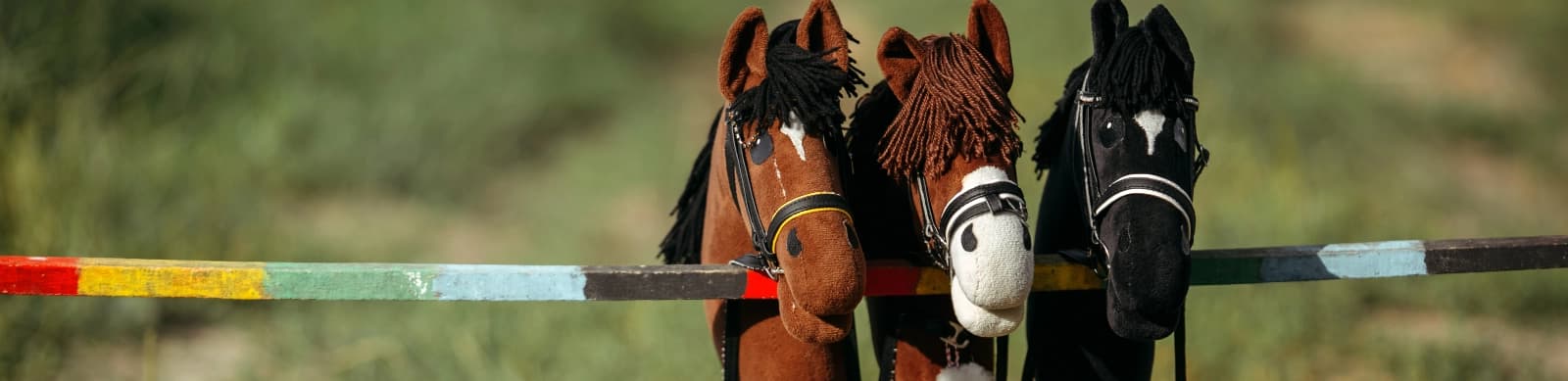 Hobby Horse – mehr als nur ein Steckenpferd