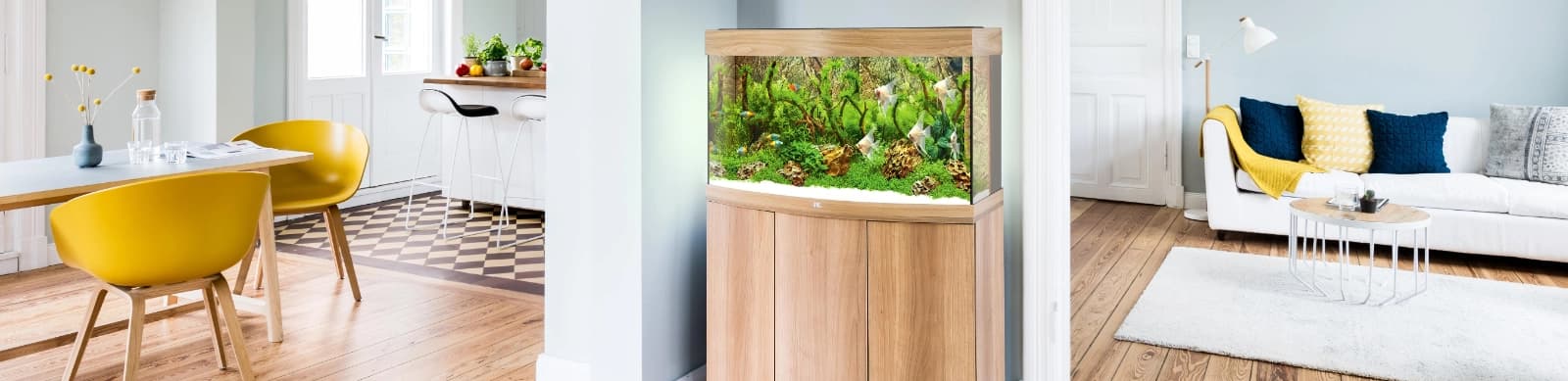 Aquarium richtig pflegen – einfach, effektiv und stressfrei
