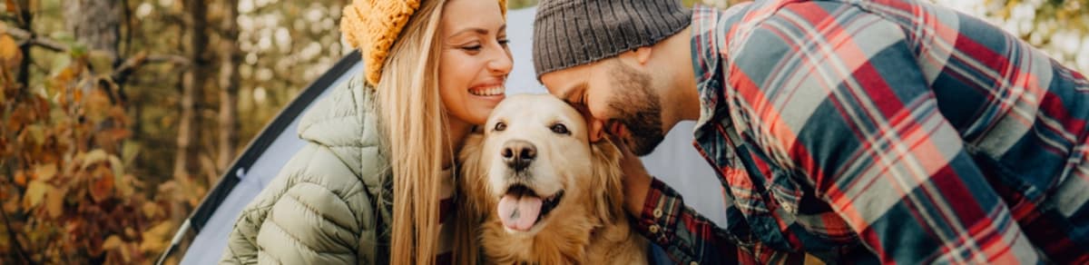 Camping mit Hund – Abenteuer für Mensch und Vierbeiner