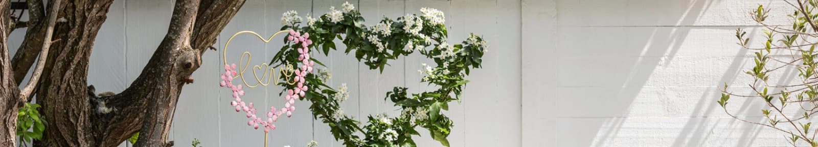 Dehner Geschenkewelt