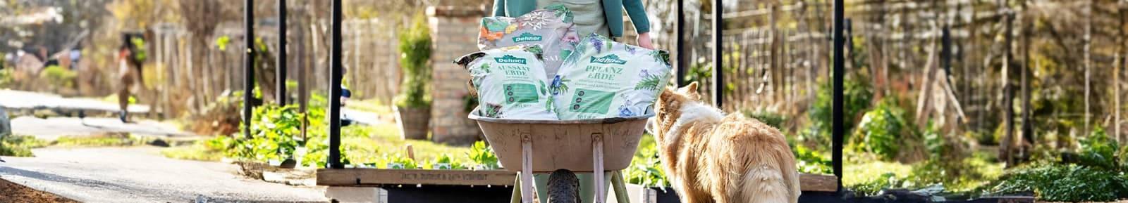 Passende Erde für jede Pflanze