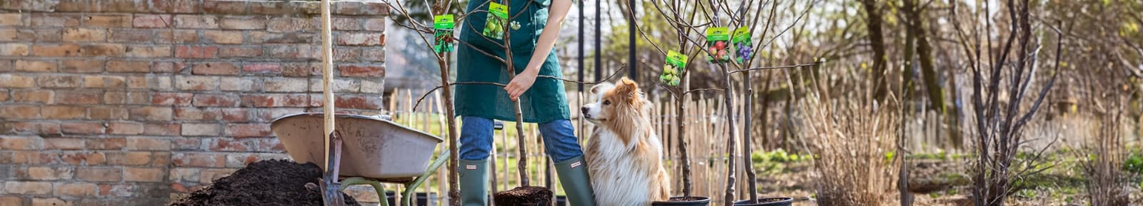 Jetzt Vorfreude pflanzen
