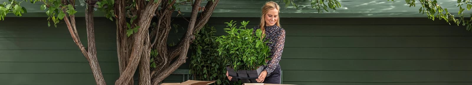 Pflanzenversand bei Dehner