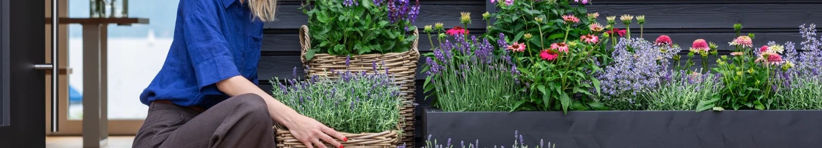 Pflanzen Marken bei Dehner