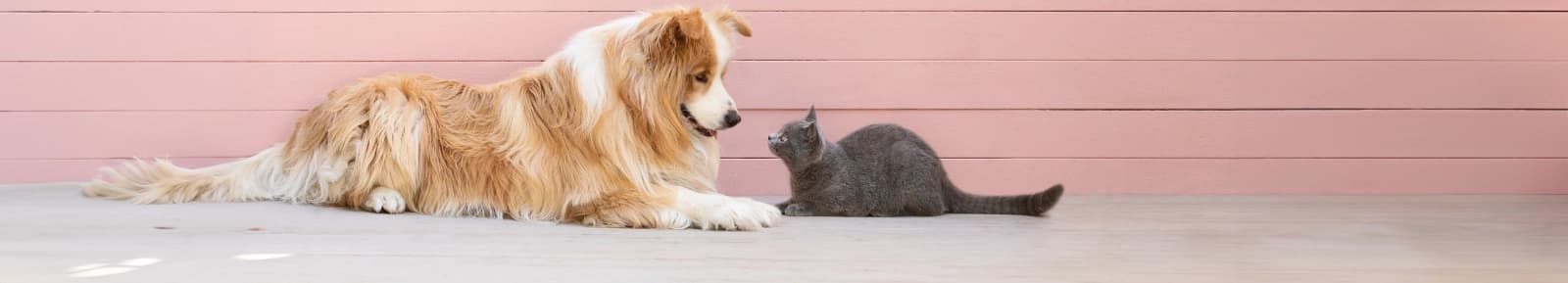 Zoo-Markenwelt bei Dehner