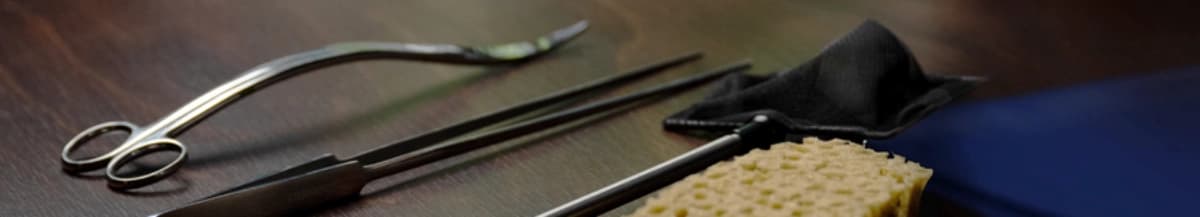 Aquarium Pflege & Technik