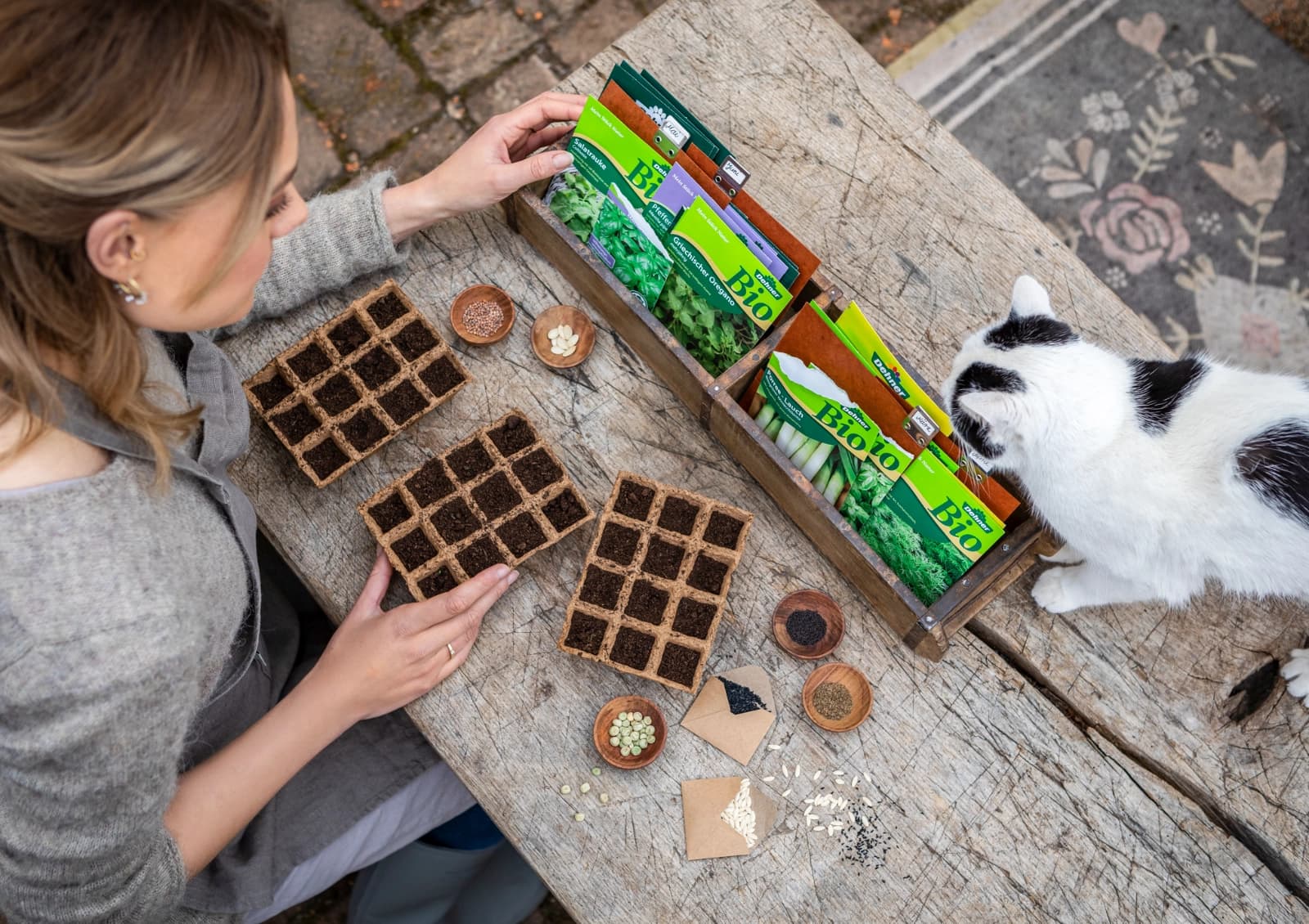 Saatgut für die Anzucht