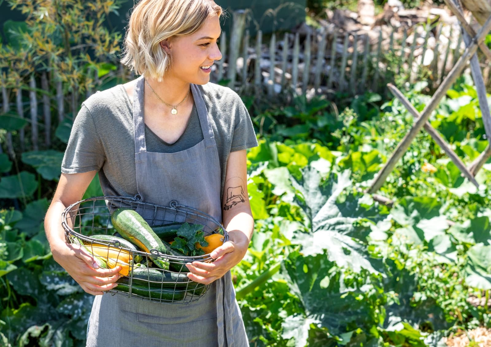 Knackiges Gemüse ernten