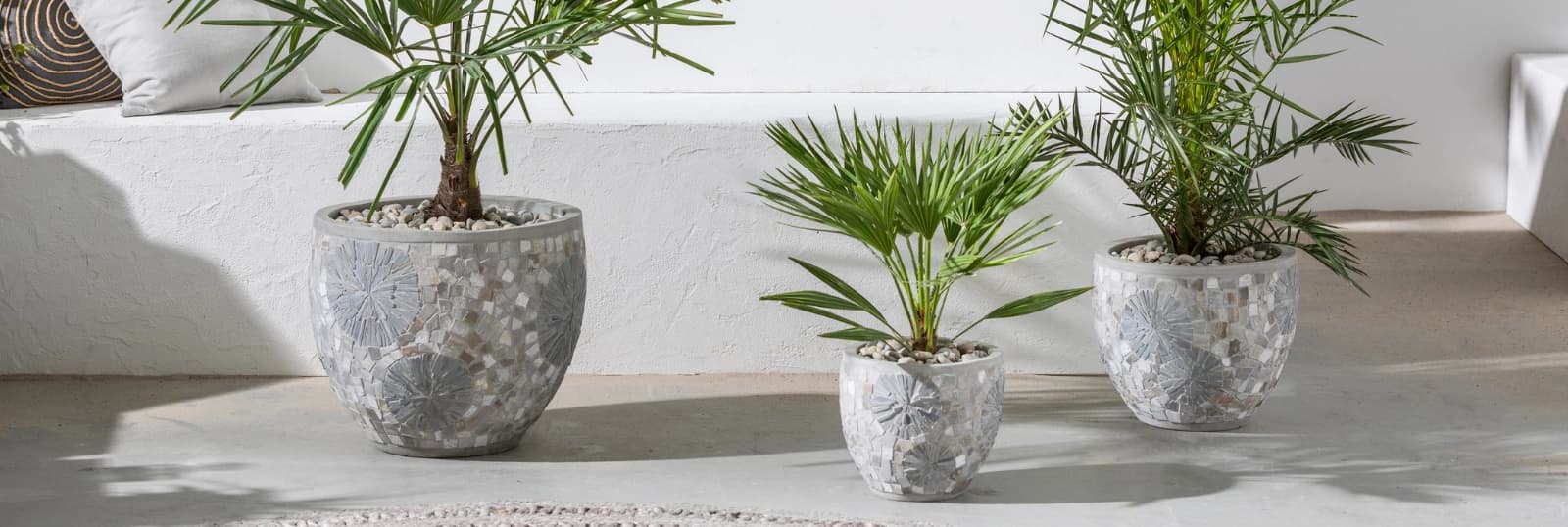 Bis -10 °C winterhart