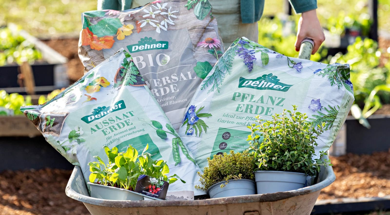 Top 5 Unterschiede: Erden