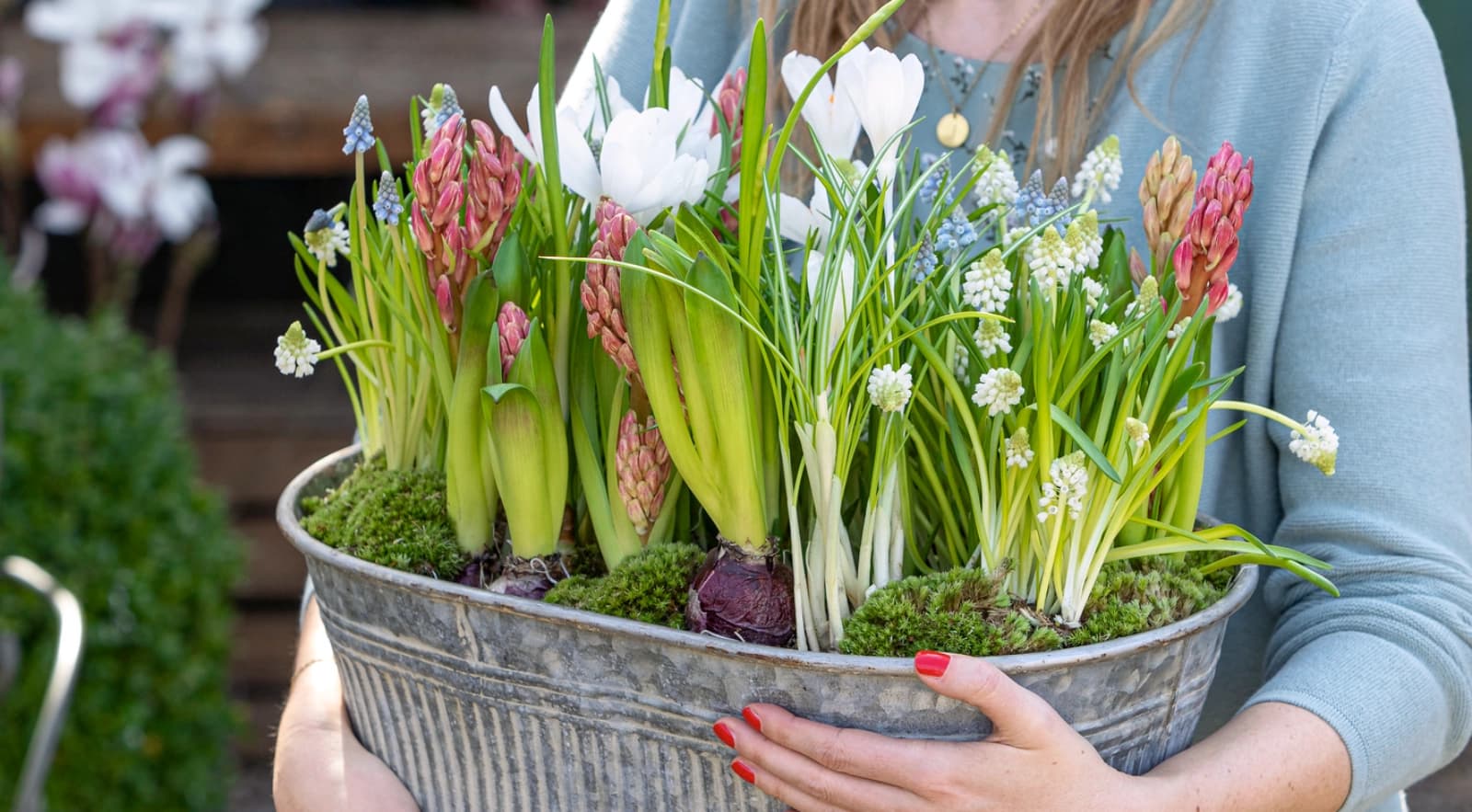 Gartenarbeiten im März