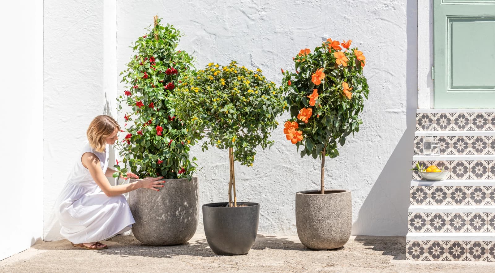 Top 10: Pflanzen für den Südbalkon