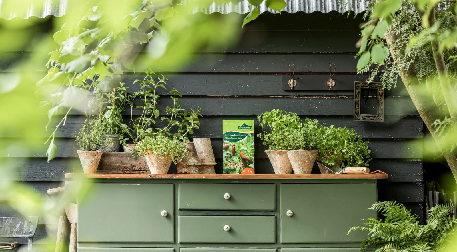 Pflanzen­schädlinge