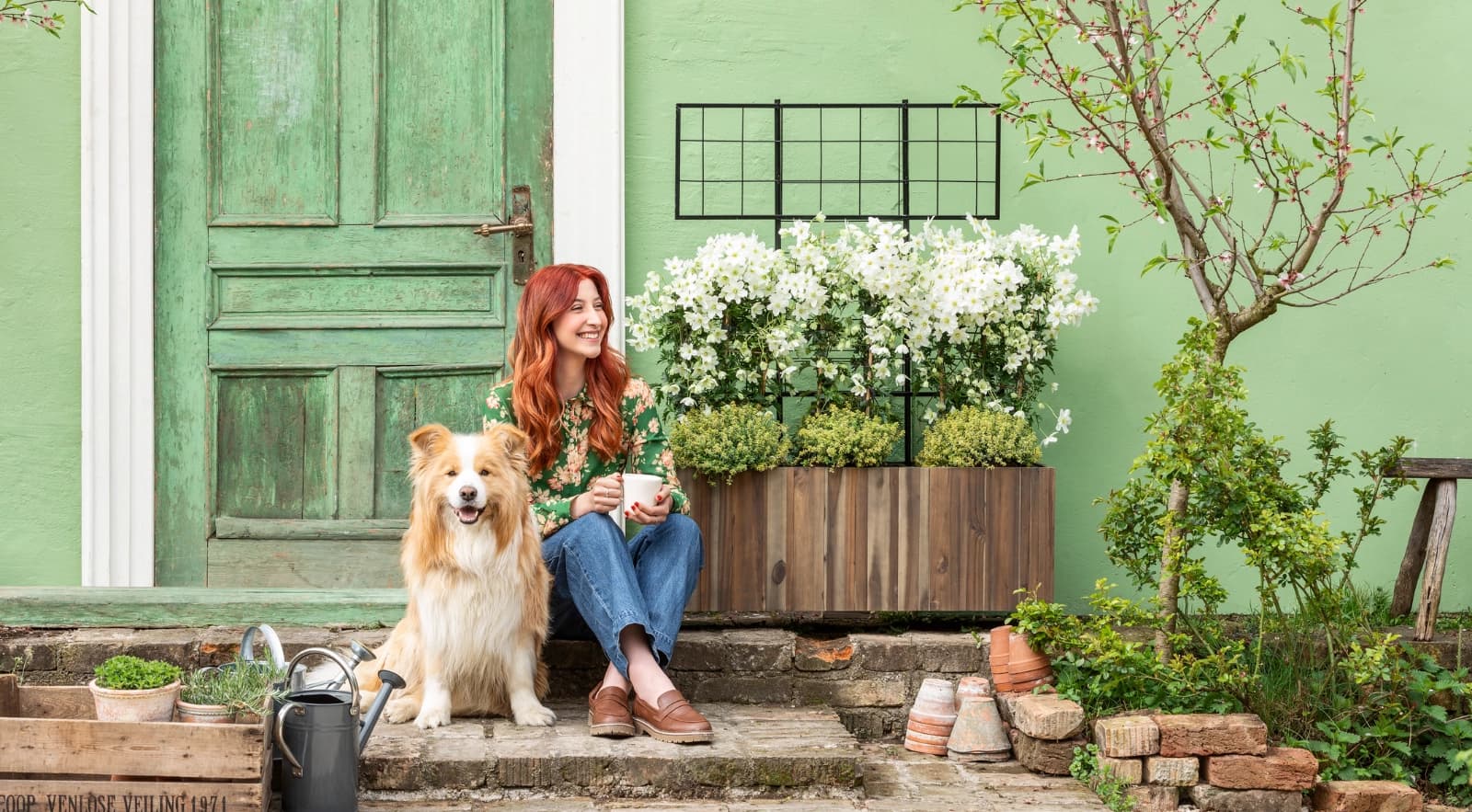 Vorgarten halb­schattig