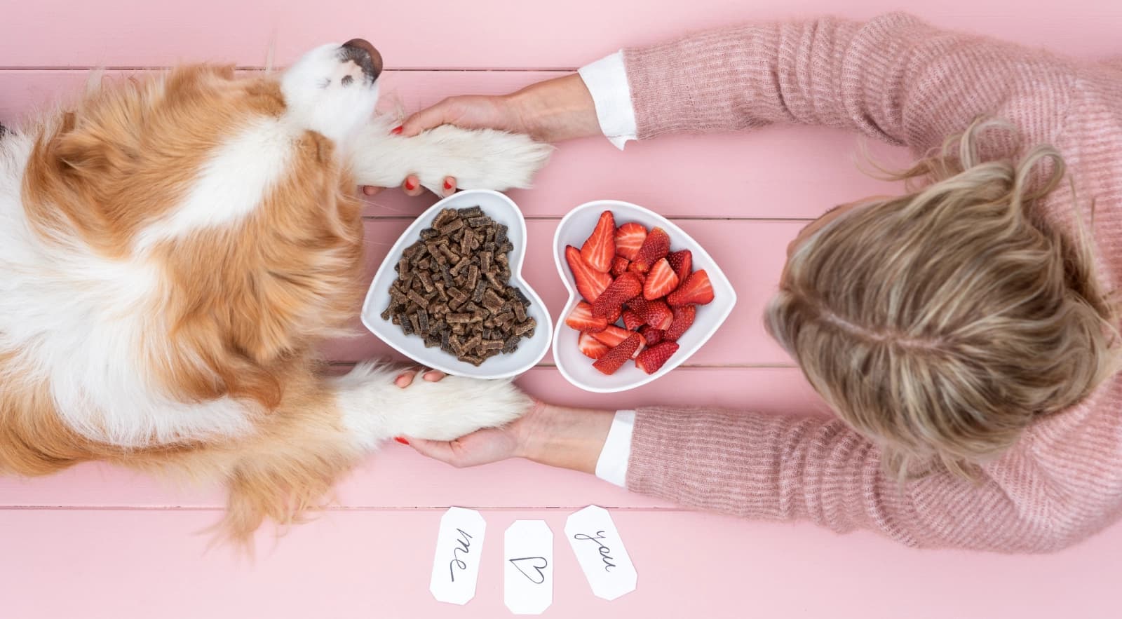 Hochwertiges Hundefutter