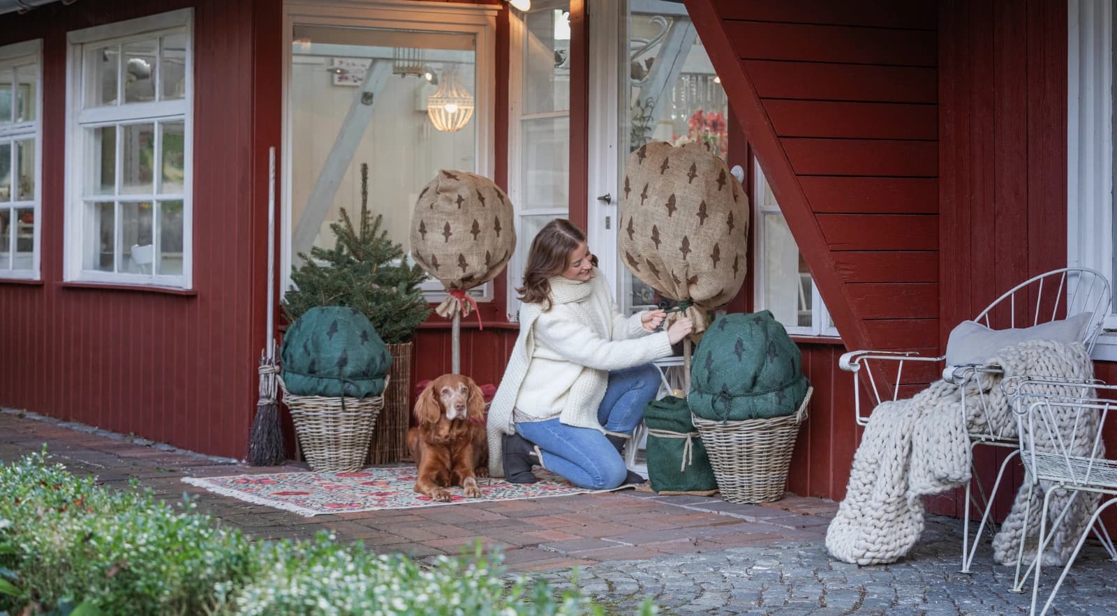 Kübelpflanzen überwintern